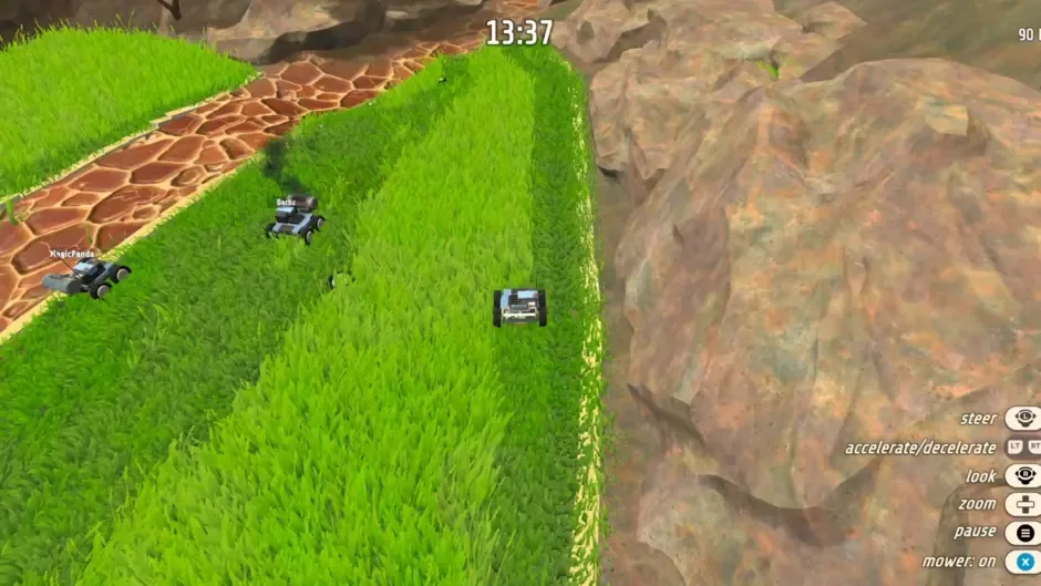 Grass