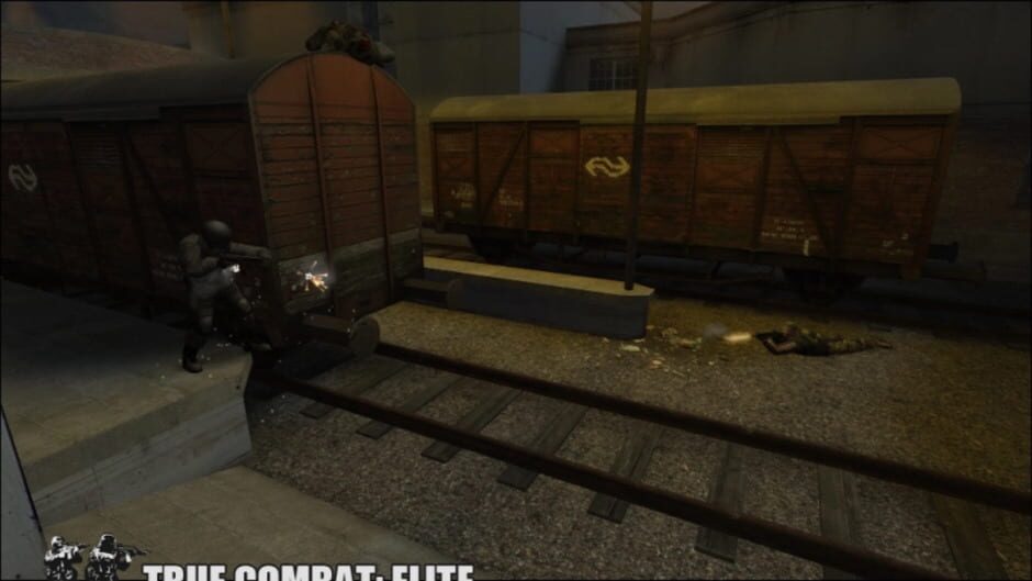 True Combat: Elite screenshot