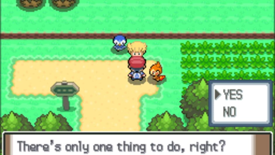 Pokémon Following Platinum screenshot