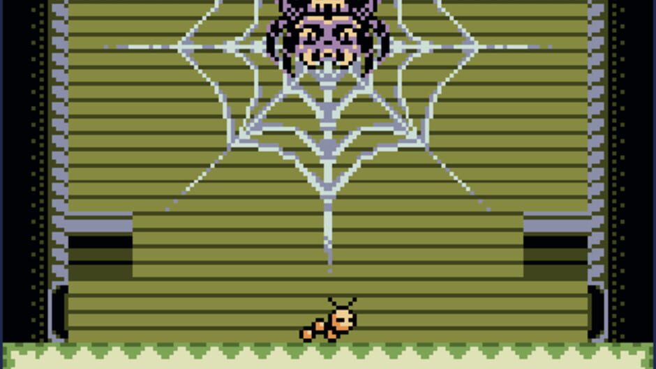 Dozy in Grackleland media thumbnail