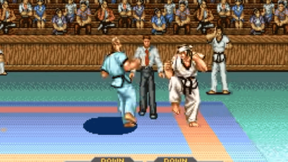 Taekwon-do Screenshot