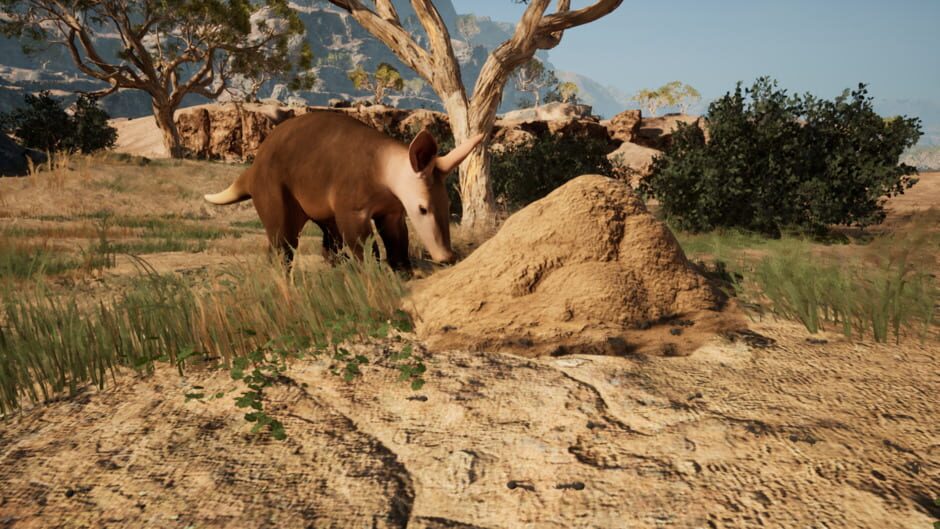 Screenshots Primal Survival