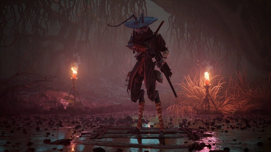 Screenshots Project Ants