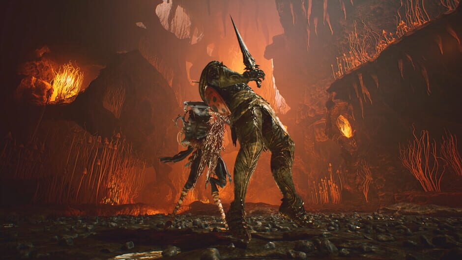 Screenshots Project Ants