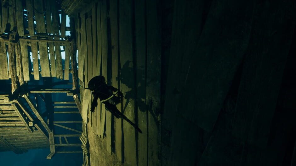 Screenshots Project Ants