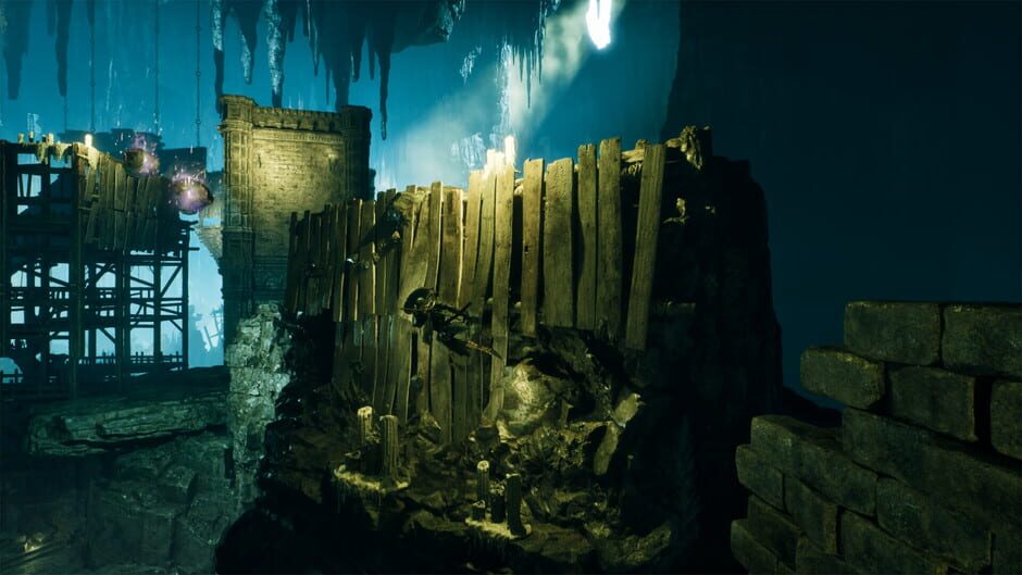 Screenshots Project Ants