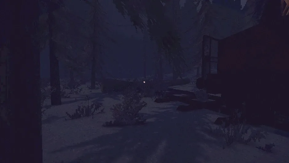 Кадър от Fractured: Snowpine Strangers