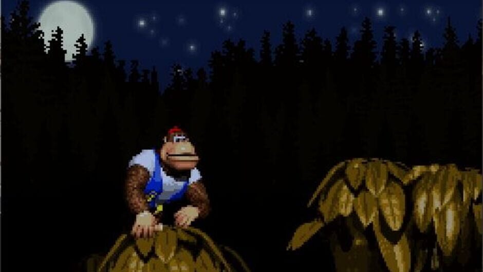 สกรีนช็อตจาก Donkey Kong Country 4: The Kongs Return (รูปที่ 4)