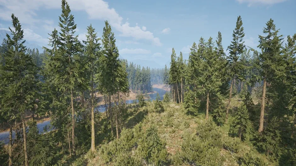 Screenshot de Online: 404