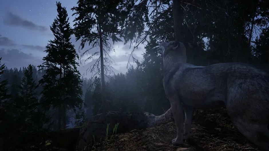 Screenshot de Online: 404