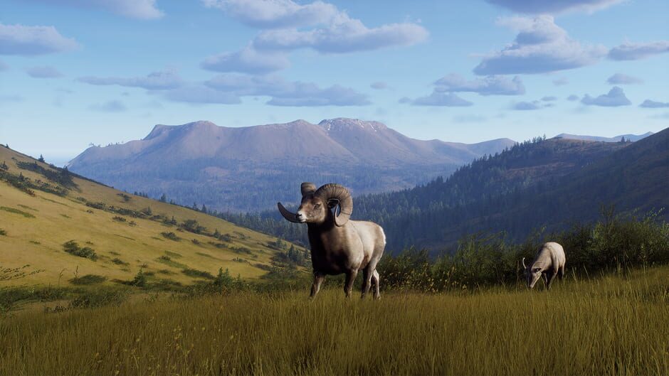 สกรีนช็อตจาก Way of the Hunter: Elkcrest Island (รูปที่ 5)