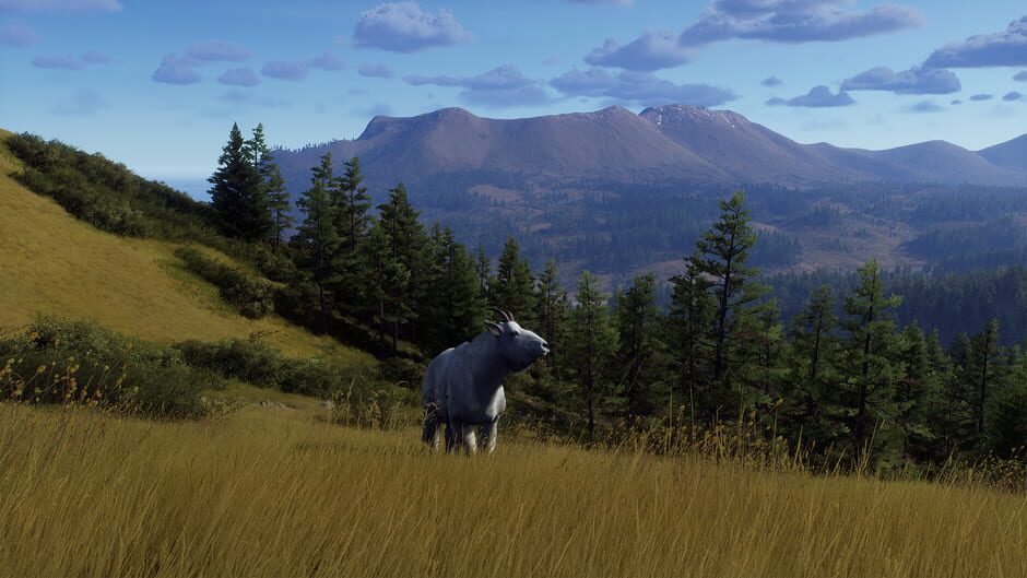 สกรีนช็อตจาก Way of the Hunter: Elkcrest Island (รูปที่ 12)