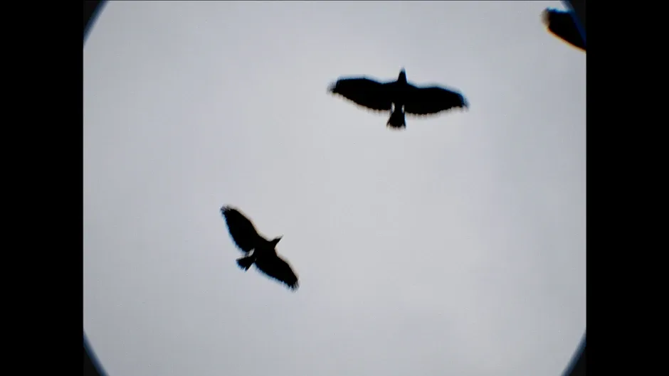 Screenshot de Cheap Screamer