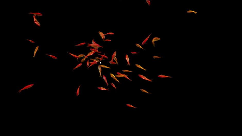 สกรีนช็อตจาก Goldfish Simulator (รูปที่ 2)