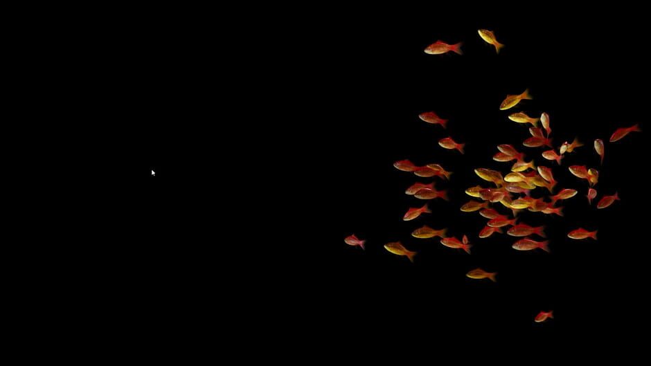 สกรีนช็อตจาก Goldfish Simulator (รูปที่ 5)