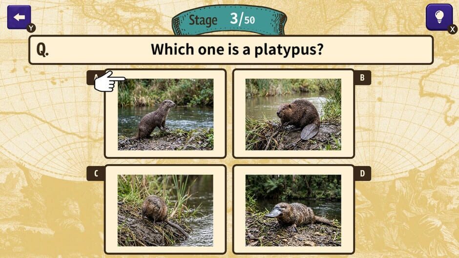 สกรีนช็อตจาก Can You Make the Cut? Worldwide Common Sense Check (รูปที่ 3)