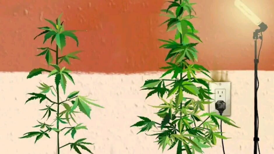 สกรีนช็อตจาก Weed Firm: Replanted (รูปที่ 2)