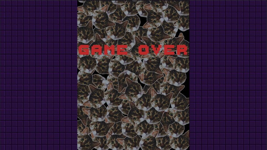 สกรีนช็อตจาก Lunyatic Invaders (รูปที่ 5)