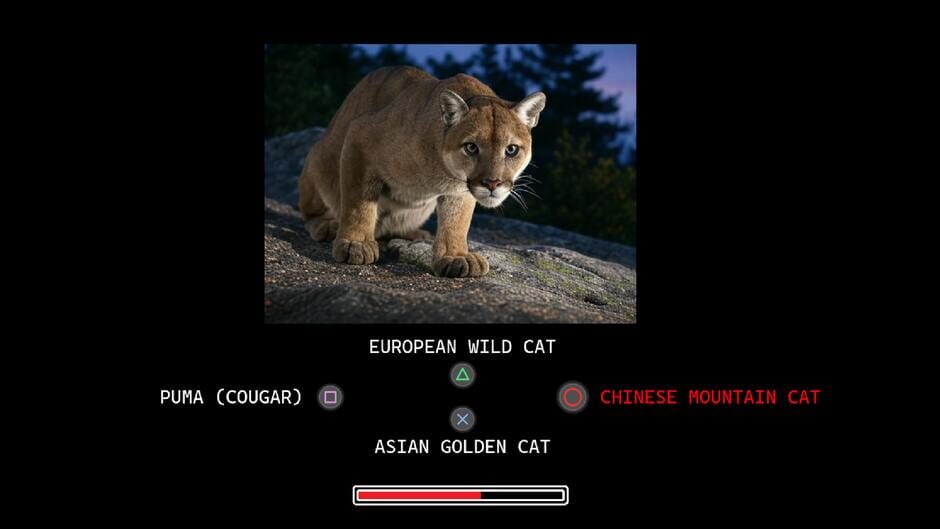 สกรีนช็อตจาก Which Is It? (รูปที่ 2)