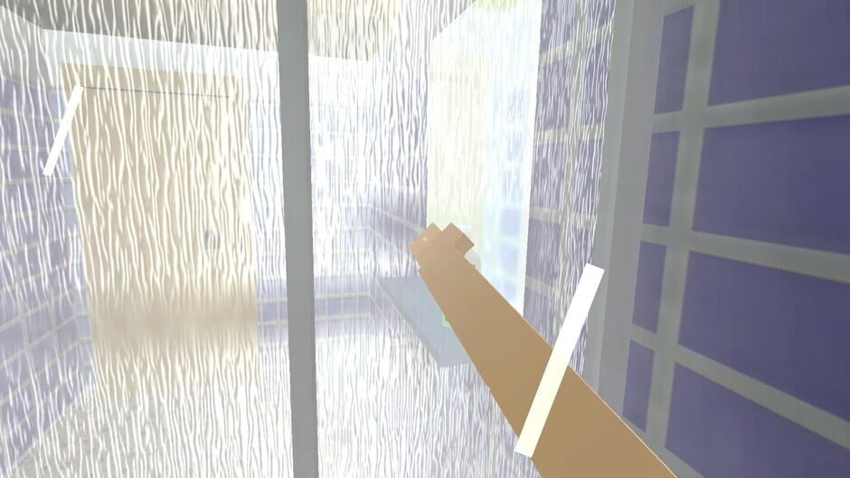 Shower Game screenshot