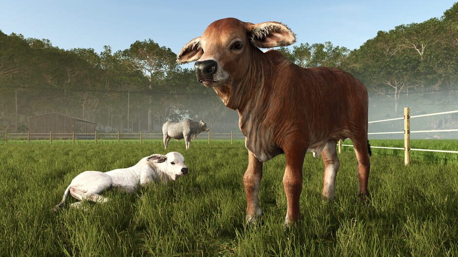 สกรีนช็อตจาก Farming Simulator 25: Beans & Alpacas Expansion (รูปที่ 2)