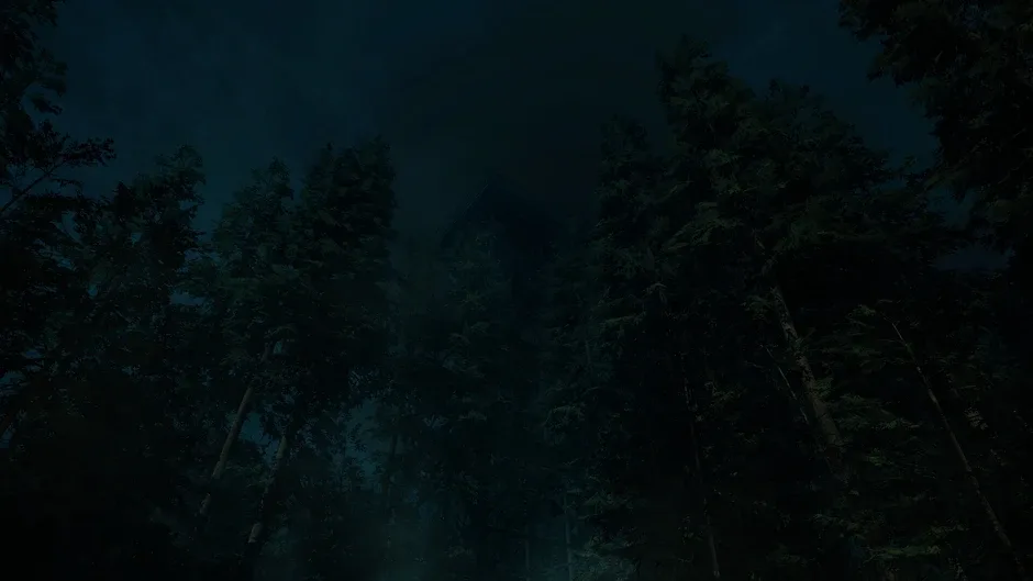 Кадър от Forest Lookout