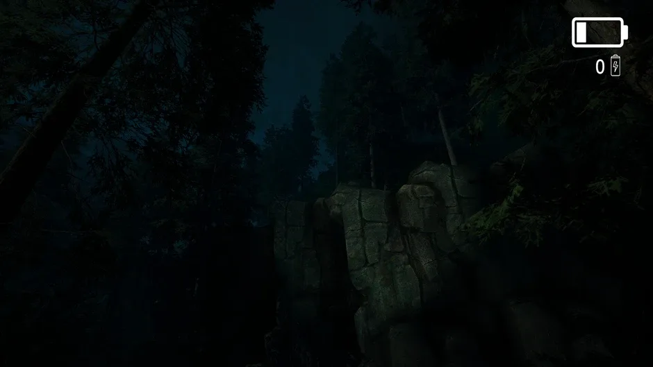 Кадър от Forest Lookout