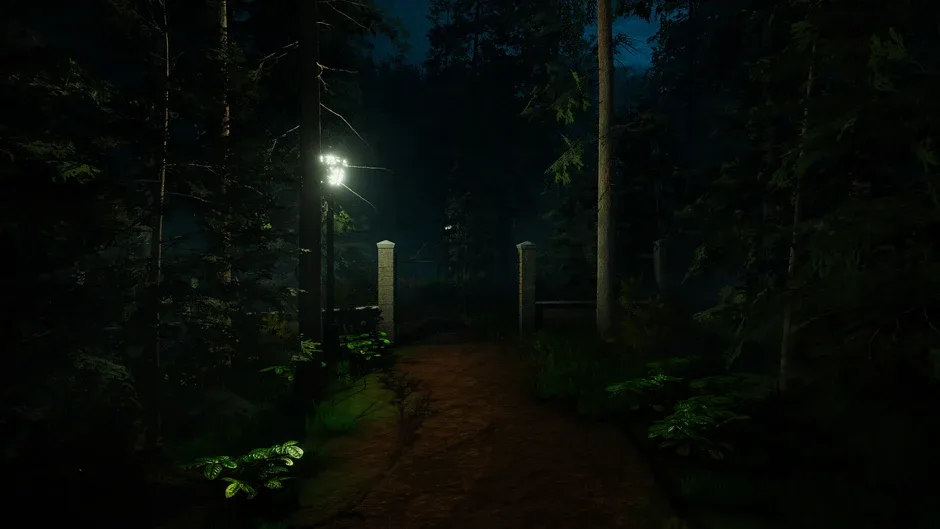 Кадър от Forest Lookout