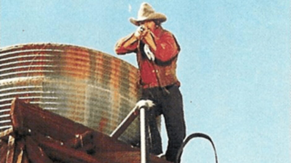 Wild Gunman screenshot 2