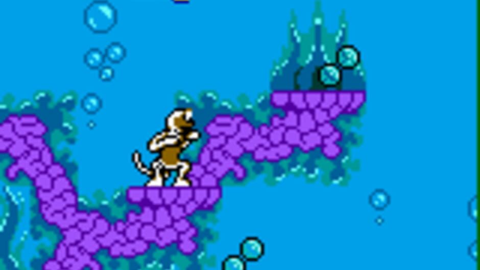 Zoboomafoo: Playtime in Zobooland screenshot