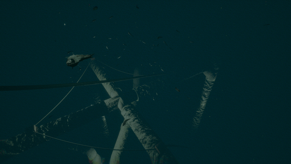 Dark of the Depths Screenshot