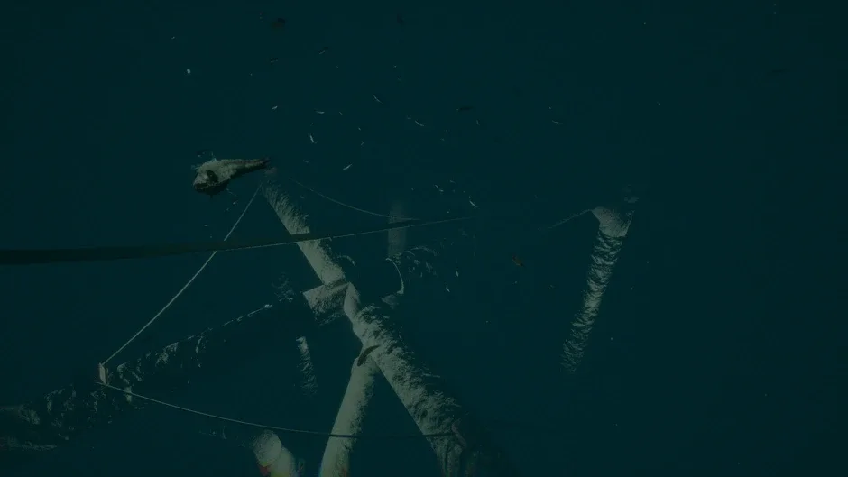 Кадър от Dark of the Depths