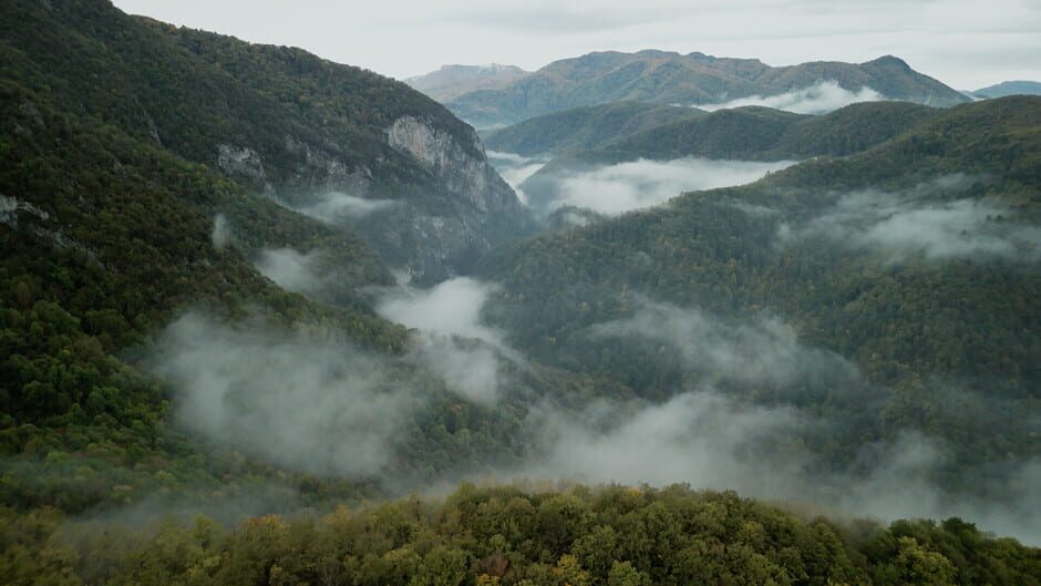 สกรีนช็อตจาก Wordless Forest (รูปที่ 4)