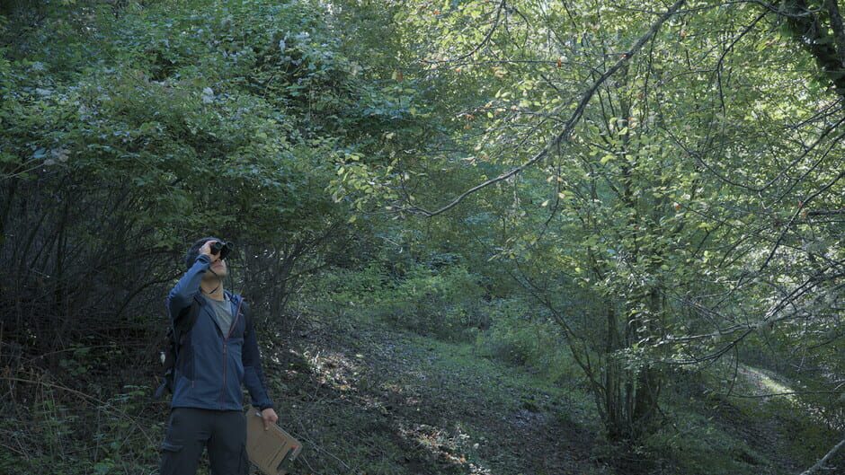 สกรีนช็อตจาก Wordless Forest (รูปที่ 9)