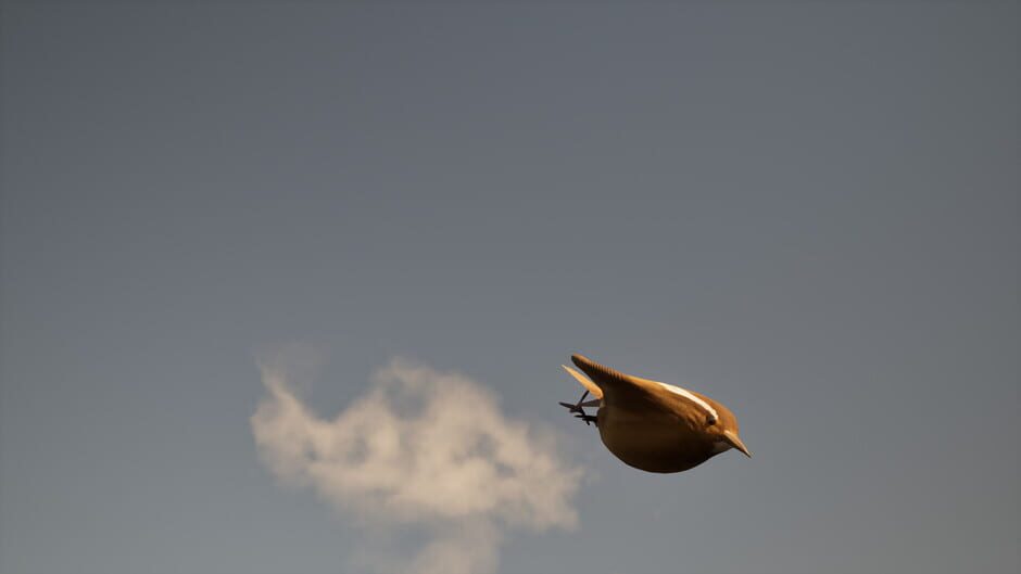 สกรีนช็อตจาก Pro Birder (รูปที่ 3)