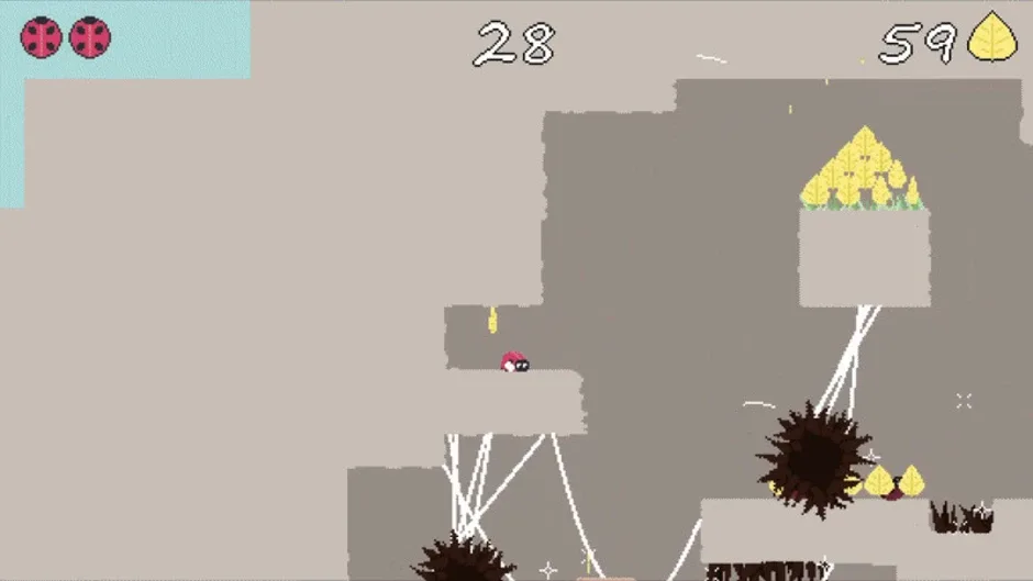A Bug’s (Short) Life