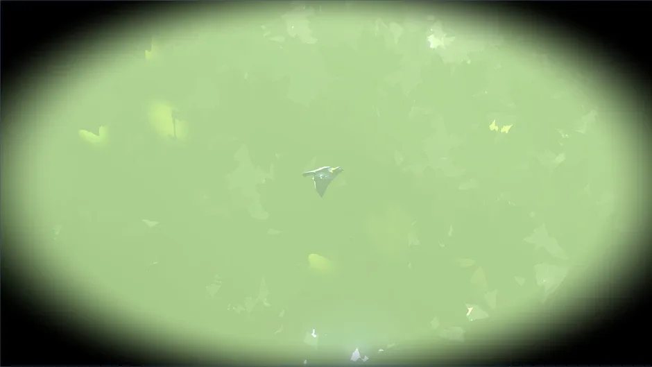 Кадър от Look to the Birds