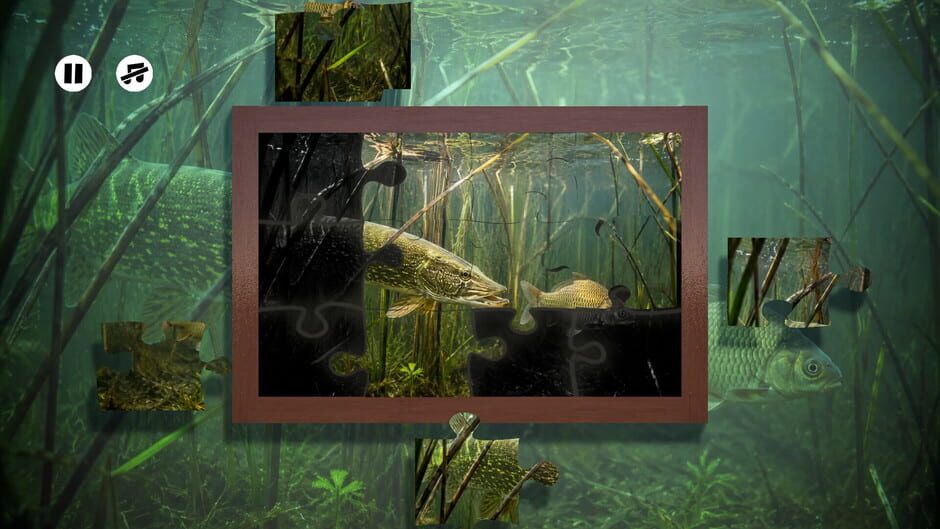 สกรีนช็อตจาก Puzzles: Fish (รูปที่ 4)
