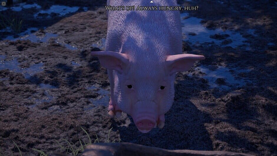 Limes 235 screenshot 5