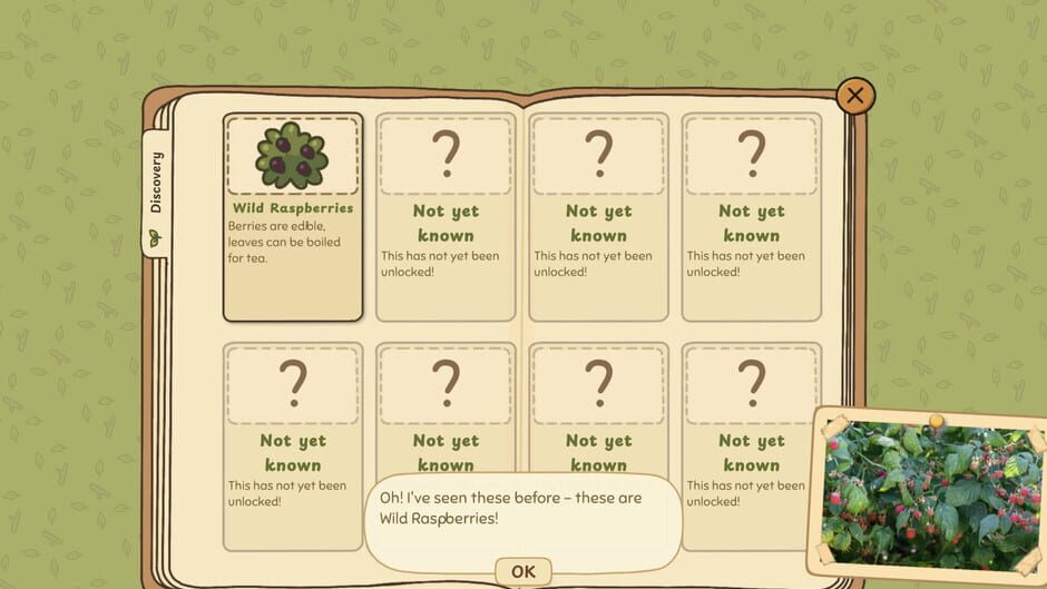 Grandma's Guide to the Grand Outside screenshot 5