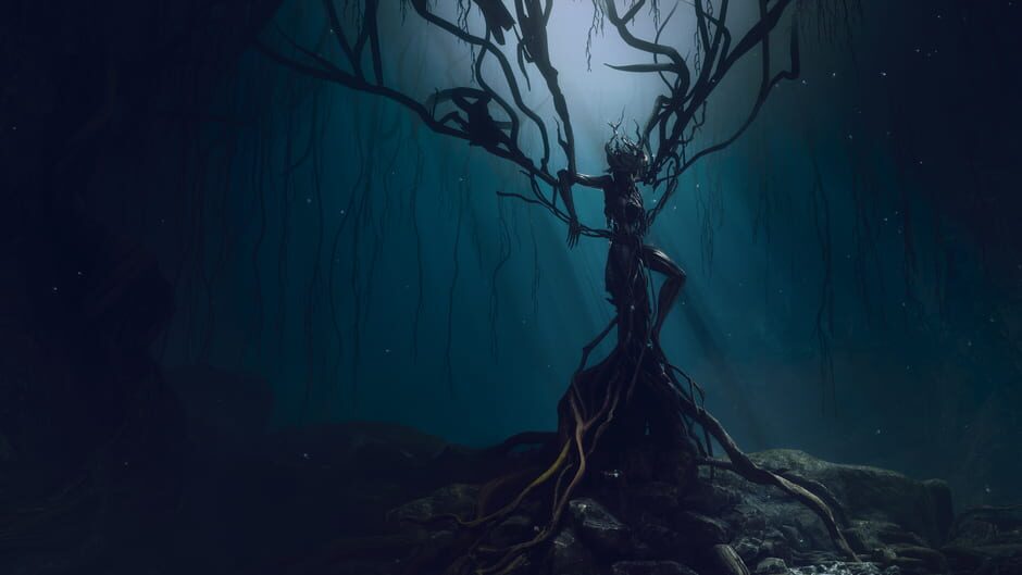 Images 8