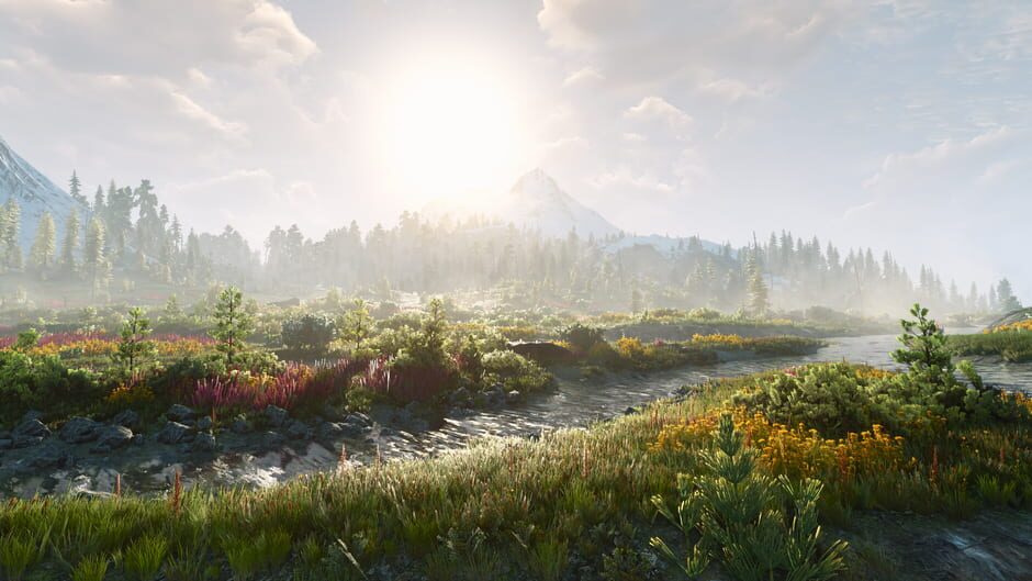 The Witcher 3: Wild Hunt Remastered screenshot 14
