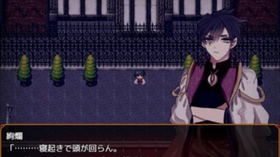 Jitsuni Hana Nari Sousabuyo -Brother In Arms- screenshot 3