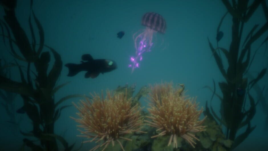 สกรีนช็อตจาก Aquavern (รูปที่ 5)