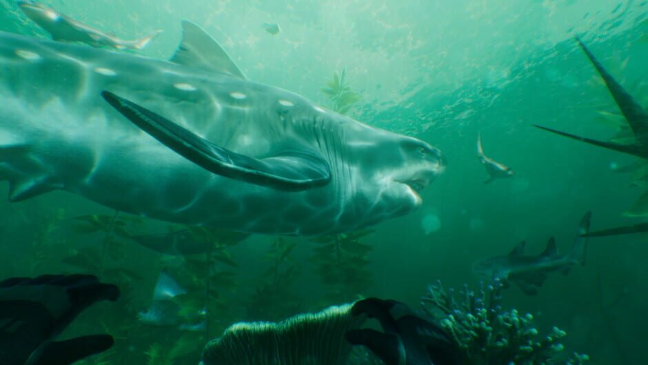 Paleo Dive screenshot