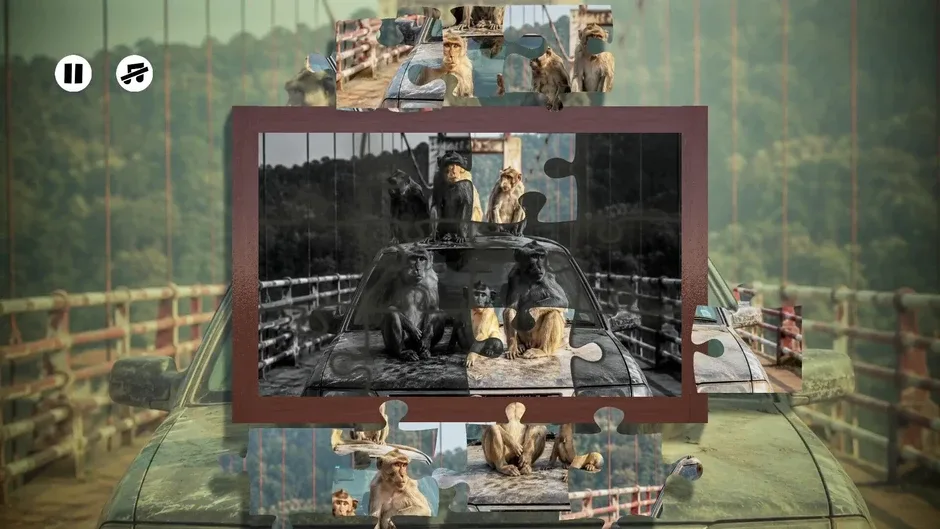 Кадър от Puzzles: Monkey
