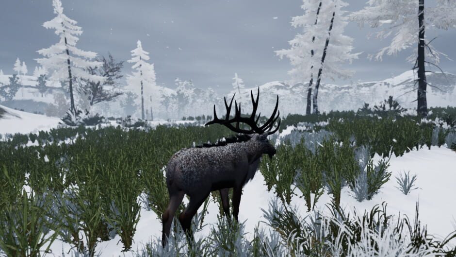 Reach of the River screenshot 5