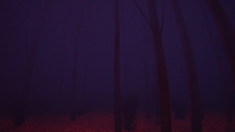 لقطة من The Edge of the Backrooms