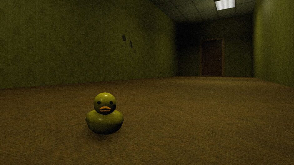 Backrooms Duck Edition screenshot 1