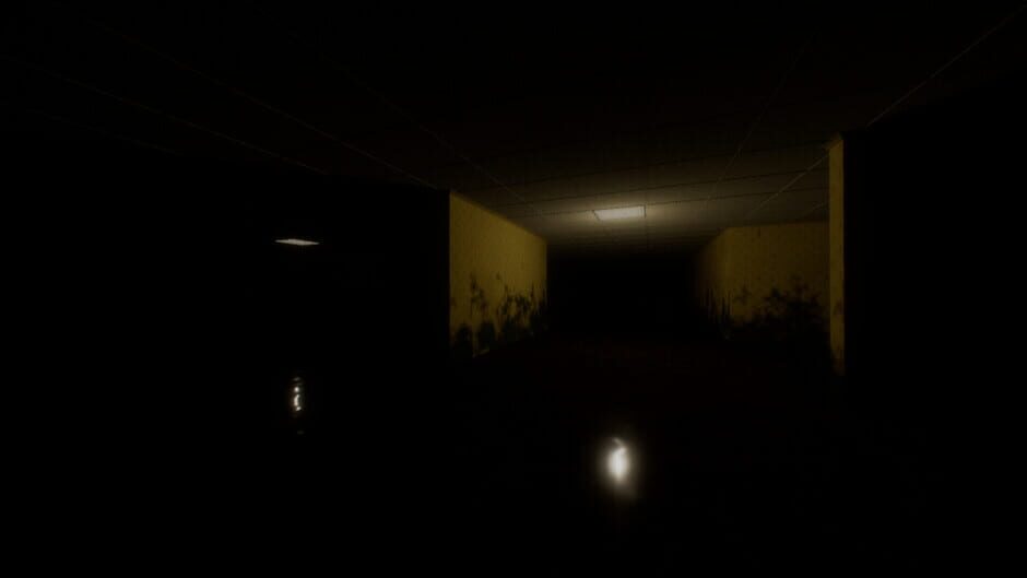 Backrooms: Forget Me Not screenshot